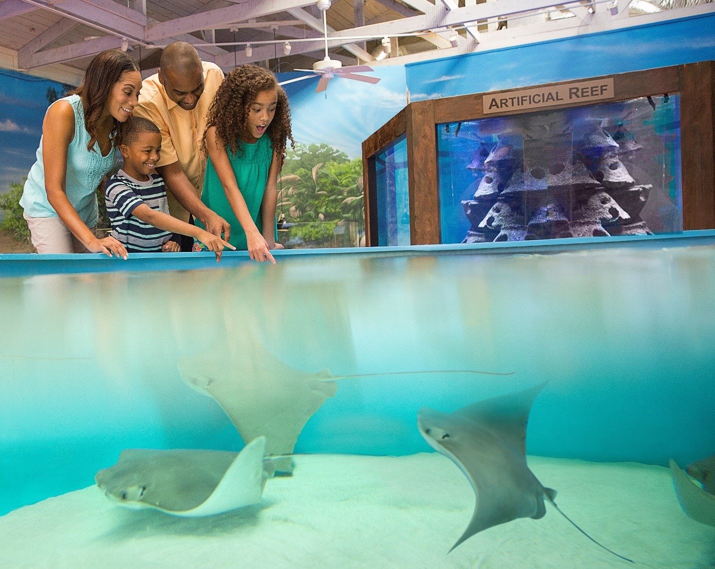 Family Things To Do In Volusia County 99 5 WLOV family-things-to-do-in-volusia-county-99-5-wlov